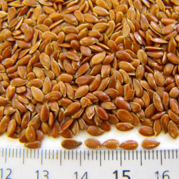 Flaxseed 